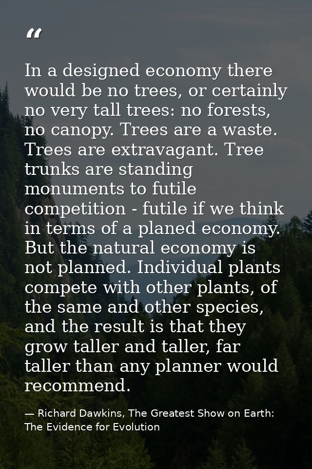 In a designed economy there would be no trees, or certainly no very tall trees: no forests, no canopy. Trees are a waste — Richard Dawkins, The Greatest Show on Earth: The Evidence for Evolution