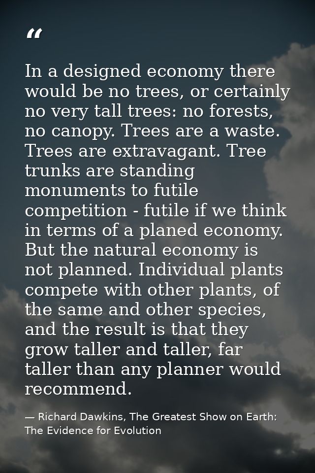 In a designed economy there would be no trees, or certainly no very tall trees: no forests, no canopy. Trees are a waste — Richard Dawkins, The Greatest Show on Earth: The Evidence for Evolution