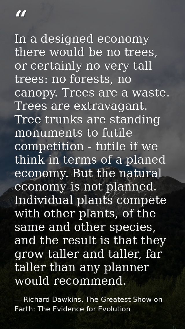 In a designed economy there would be no trees, or certainly no very tall trees: no forests, no canopy. Trees are a waste — Richard Dawkins, The Greatest Show on Earth: The Evidence for Evolution