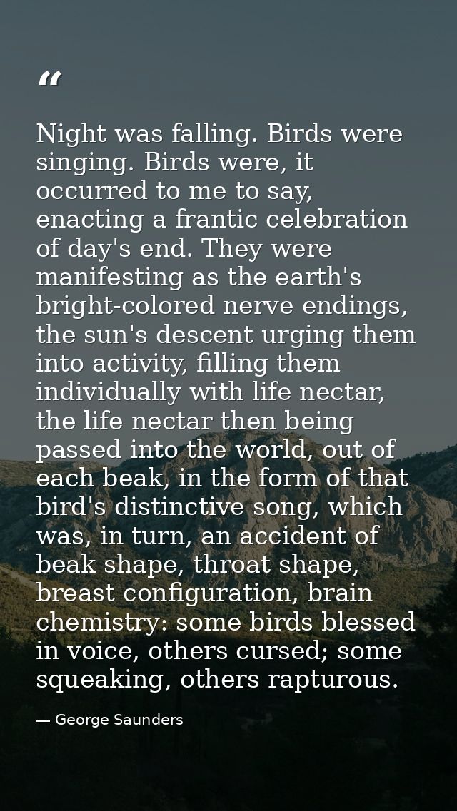 Night was falling. Birds were singing. Birds were, it occurred to me to say, enacting a frantic celebration of day's end — George Saunders