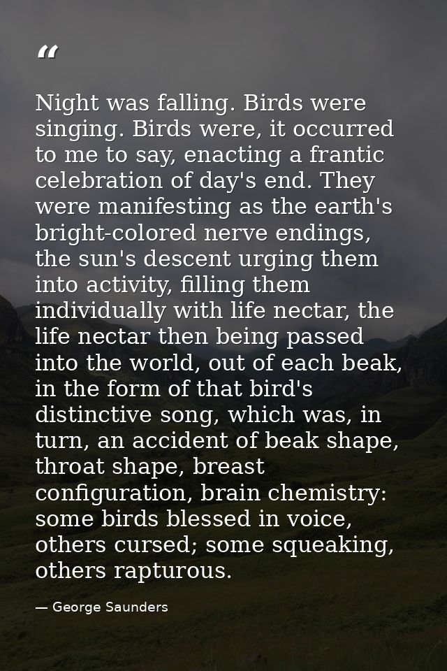 Night was falling. Birds were singing. Birds were, it occurred to me to say, enacting a frantic celebration of day's end — George Saunders