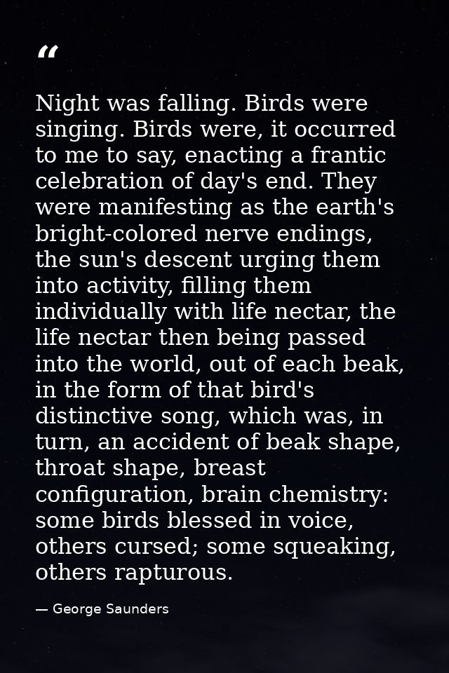 Night was falling. Birds were singing. Birds were, it occurred to me to say, enacting a frantic celebration of day's end — George Saunders