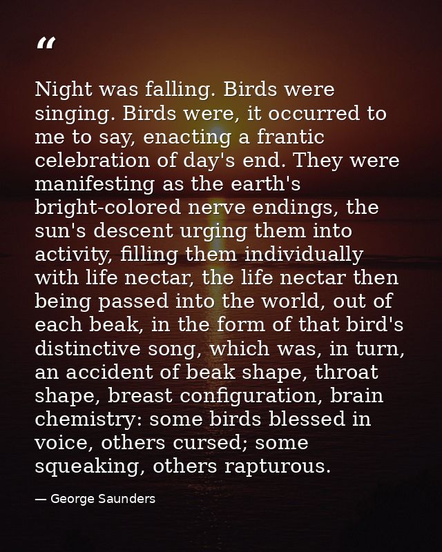 Night was falling. Birds were singing. Birds were, it occurred to me to say, enacting a frantic celebration of day's end — George Saunders