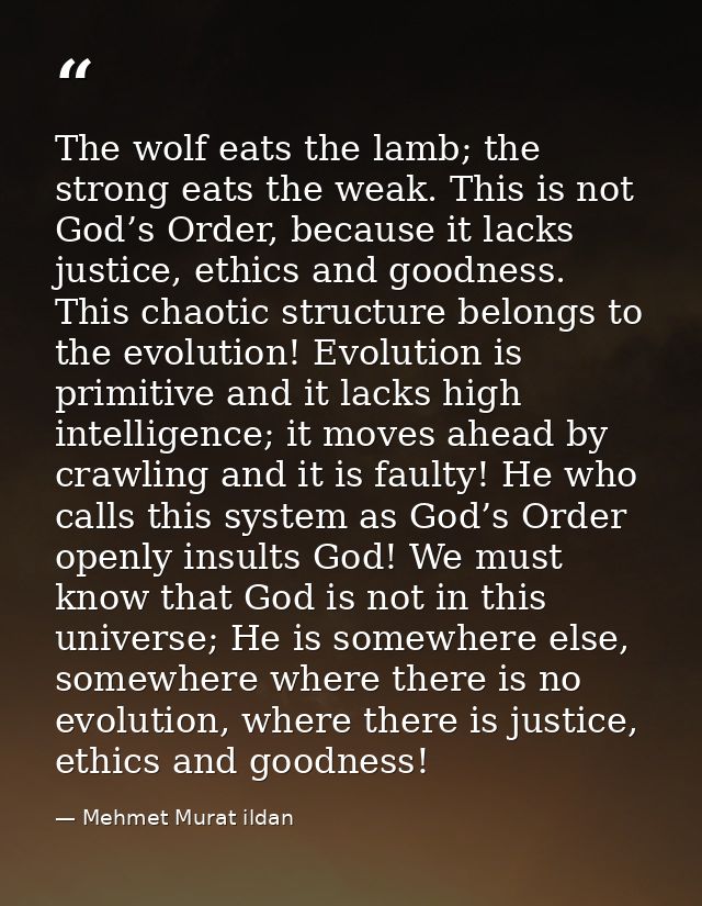 The wolf eats the lamb; the strong eats the weak. This is not God’s Order, because it lacks justice, ethics and goodness — Mehmet Murat ildan