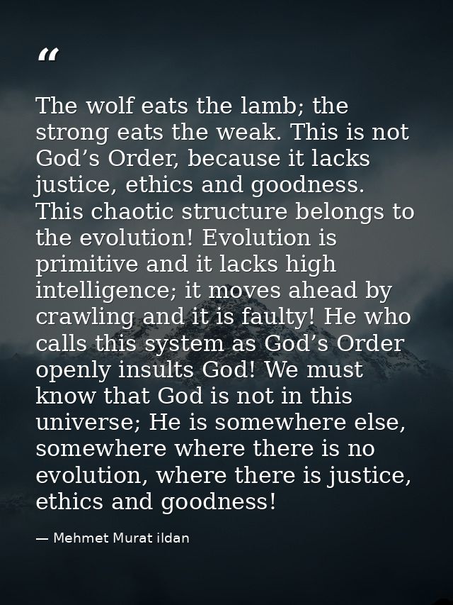The wolf eats the lamb; the strong eats the weak. This is not God’s Order, because it lacks justice, ethics and goodness — Mehmet Murat ildan