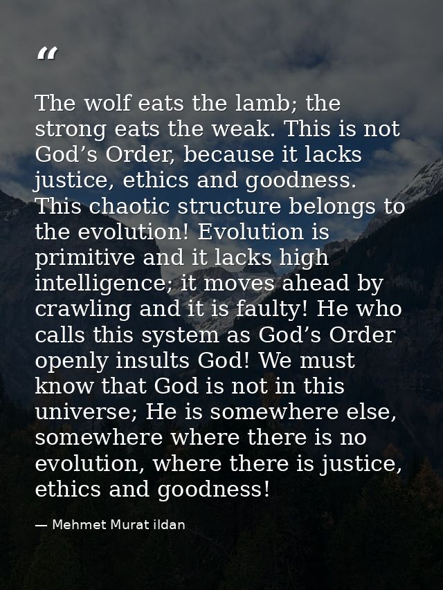 The wolf eats the lamb; the strong eats the weak. This is not God’s Order, because it lacks justice, ethics and goodness — Mehmet Murat ildan