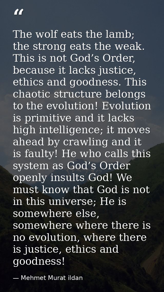 The wolf eats the lamb; the strong eats the weak. This is not God’s Order, because it lacks justice, ethics and goodness — Mehmet Murat ildan