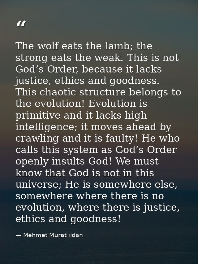 The wolf eats the lamb; the strong eats the weak. This is not God’s Order, because it lacks justice, ethics and goodness — Mehmet Murat ildan