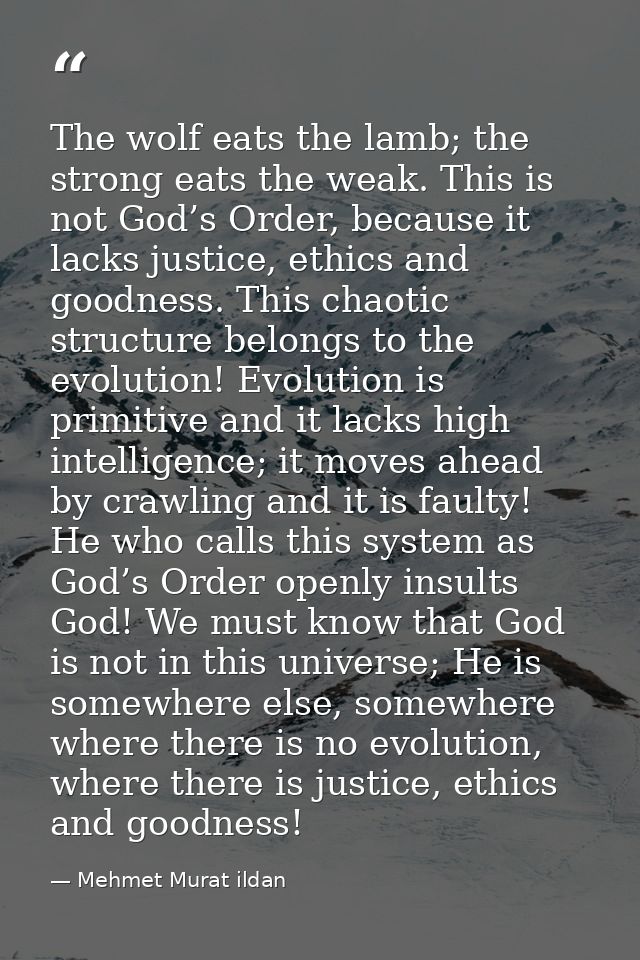 The wolf eats the lamb; the strong eats the weak. This is not God’s Order, because it lacks justice, ethics and goodness — Mehmet Murat ildan