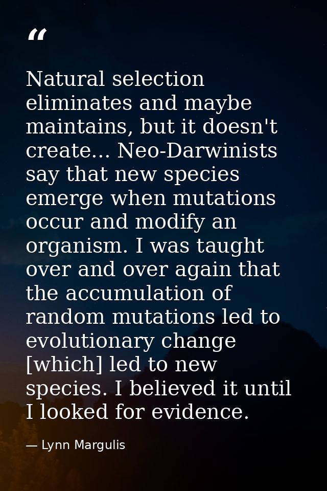 Natural selection eliminates and maybe maintains, but it doesn't create... Neo-Darwinists say that new species emerge wh — Lynn Margulis