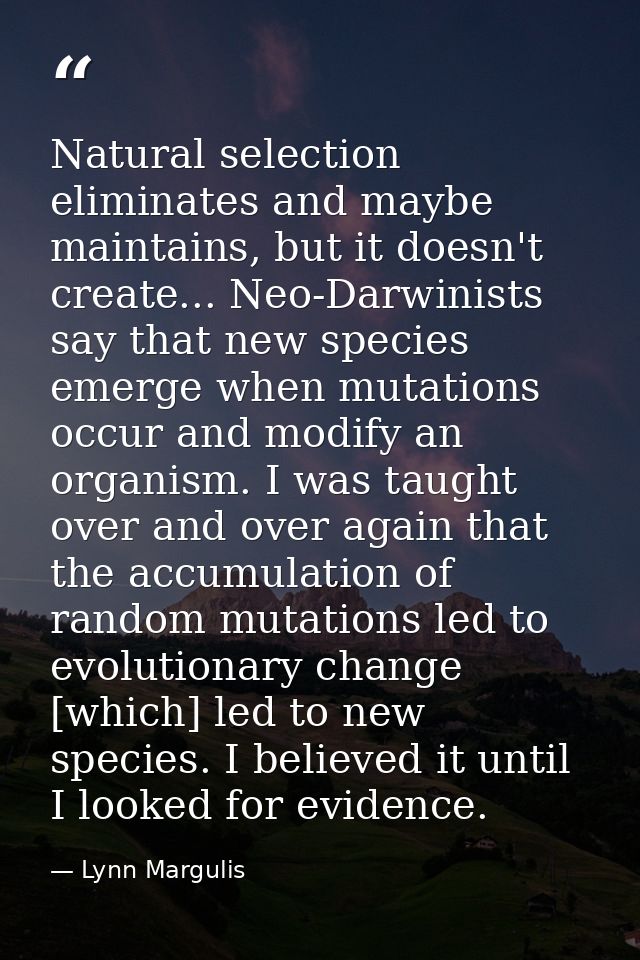 Natural selection eliminates and maybe maintains, but it doesn't create... Neo-Darwinists say that new species emerge wh — Lynn Margulis