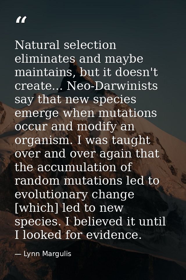 Natural selection eliminates and maybe maintains, but it doesn't create... Neo-Darwinists say that new species emerge wh — Lynn Margulis