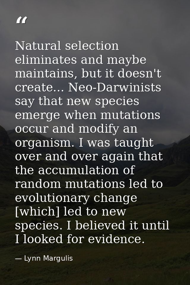 Natural selection eliminates and maybe maintains, but it doesn't create... Neo-Darwinists say that new species emerge wh — Lynn Margulis
