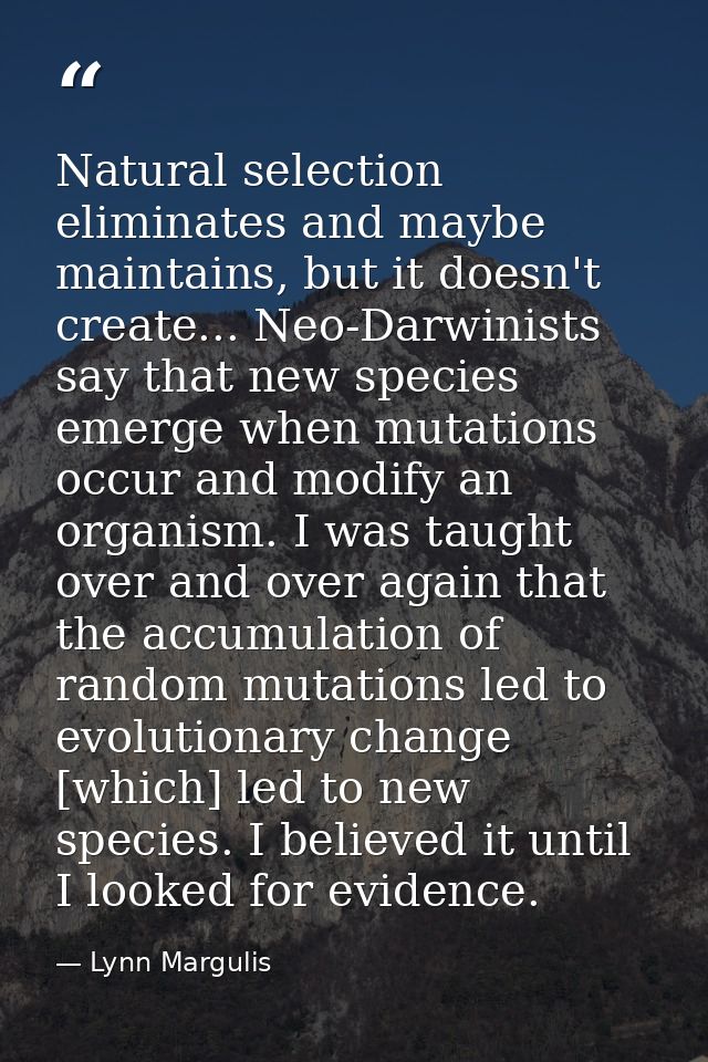 Natural selection eliminates and maybe maintains, but it doesn't create... Neo-Darwinists say that new species emerge wh — Lynn Margulis
