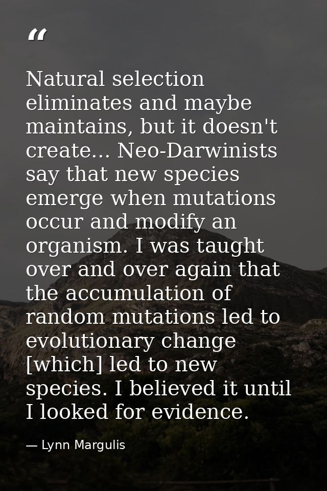 Natural selection eliminates and maybe maintains, but it doesn't create... Neo-Darwinists say that new species emerge wh — Lynn Margulis