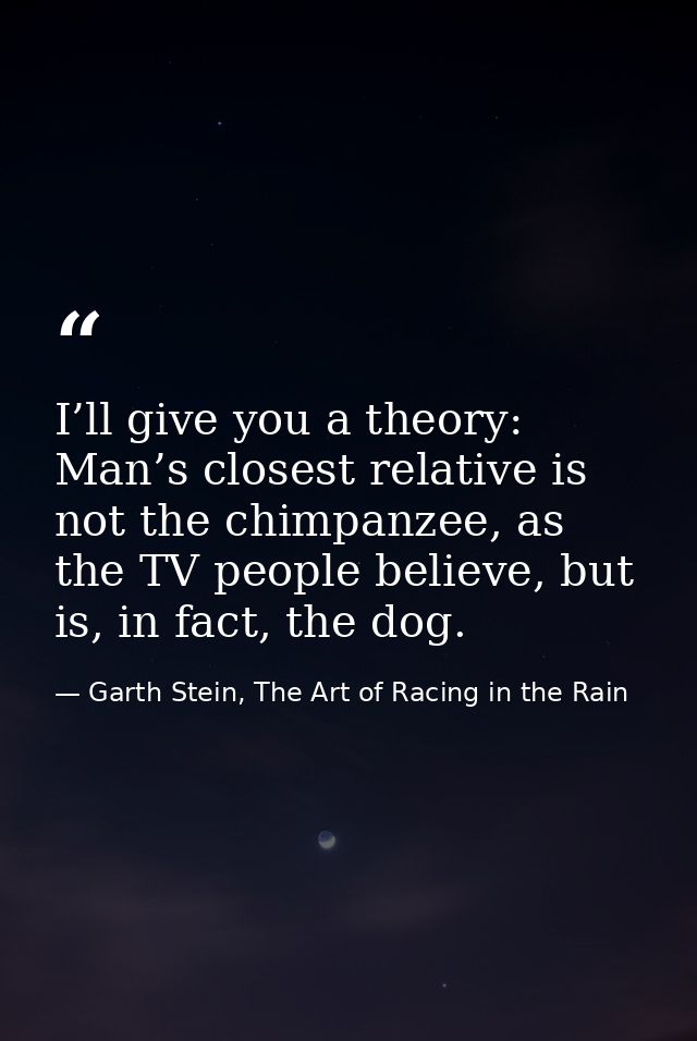 I’ll give you a theory: Man’s closest relative is not the chimpanzee, as the TV people believe, but is, in fact, the dog — Garth Stein, The Art of Racing in the Rain