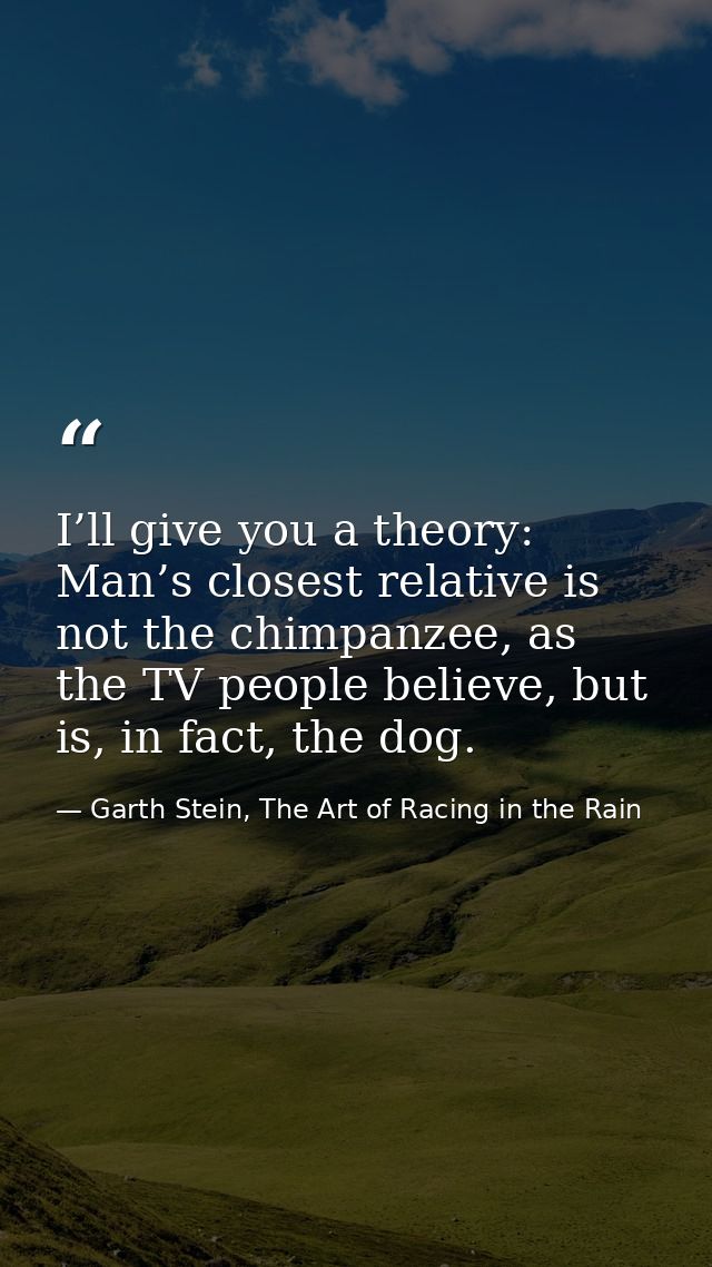 I’ll give you a theory: Man’s closest relative is not the chimpanzee, as the TV people believe, but is, in fact, the dog — Garth Stein, The Art of Racing in the Rain