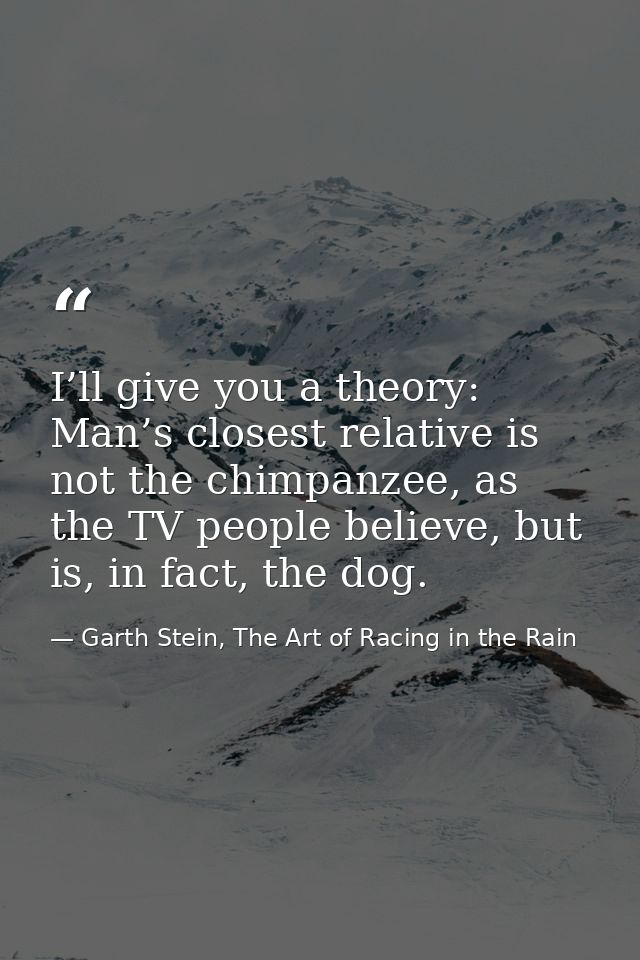 I’ll give you a theory: Man’s closest relative is not the chimpanzee, as the TV people believe, but is, in fact, the dog — Garth Stein, The Art of Racing in the Rain
