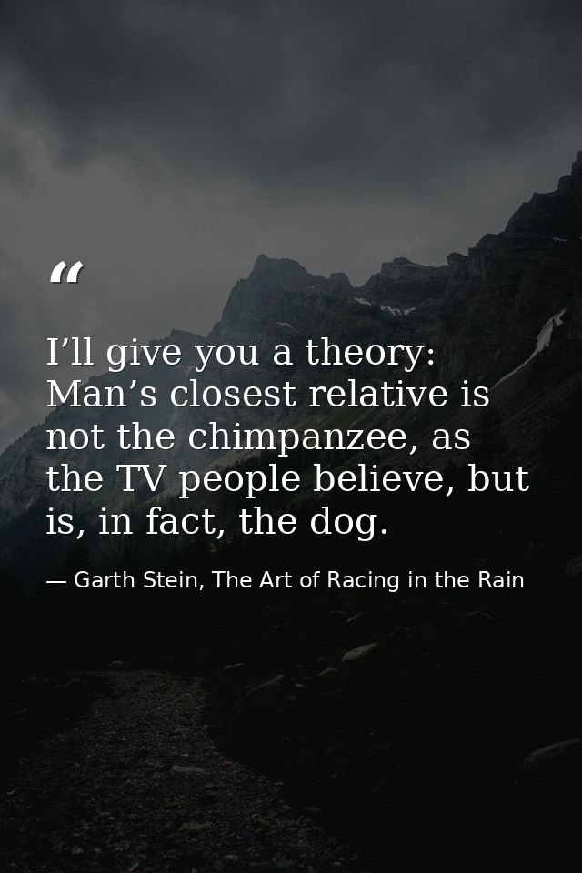 I’ll give you a theory: Man’s closest relative is not the chimpanzee, as the TV people believe, but is, in fact, the dog — Garth Stein, The Art of Racing in the Rain
