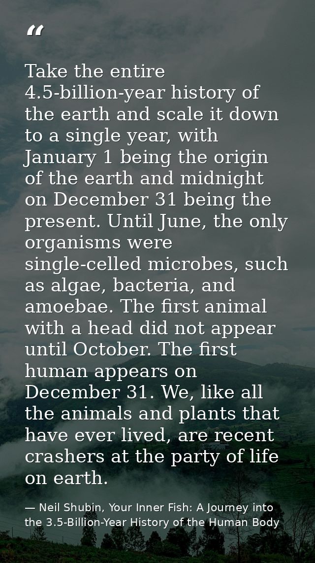 Take the entire 4.5-billion-year history of the earth and scale it down to a single year, with January 1 being the origi — Neil Shubin, Your Inner Fish: A Journey into the 3.5-Billion-Year History of the Human Body