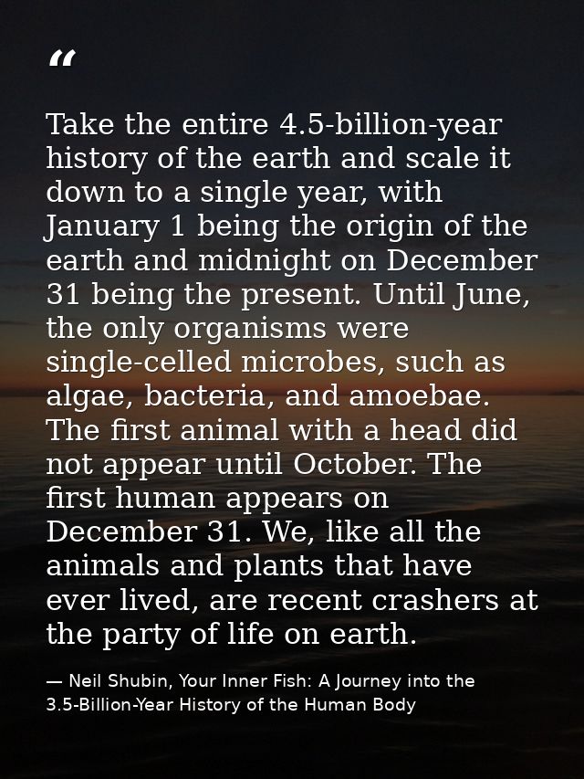 Take the entire 4.5-billion-year history of the earth and scale it down to a single year, with January 1 being the origi — Neil Shubin, Your Inner Fish: A Journey into the 3.5-Billion-Year History of the Human Body