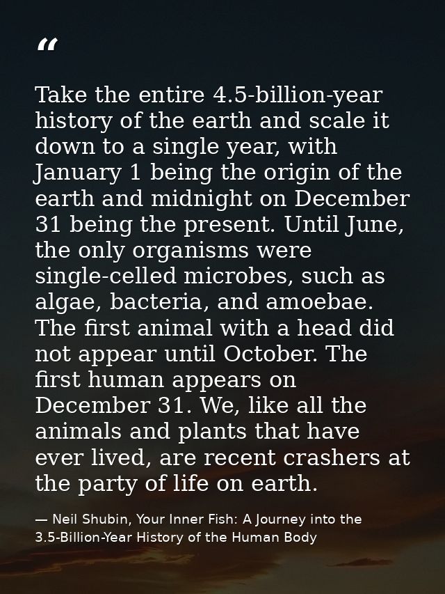 Take the entire 4.5-billion-year history of the earth and scale it down to a single year, with January 1 being the origi — Neil Shubin, Your Inner Fish: A Journey into the 3.5-Billion-Year History of the Human Body