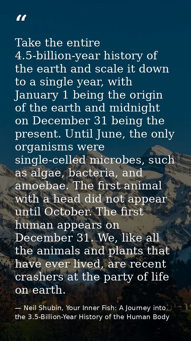 Take the entire 4.5-billion-year history of the earth and scale it down to a single year, with January 1 being the origi — Neil Shubin, Your Inner Fish: A Journey into the 3.5-Billion-Year History of the Human Body