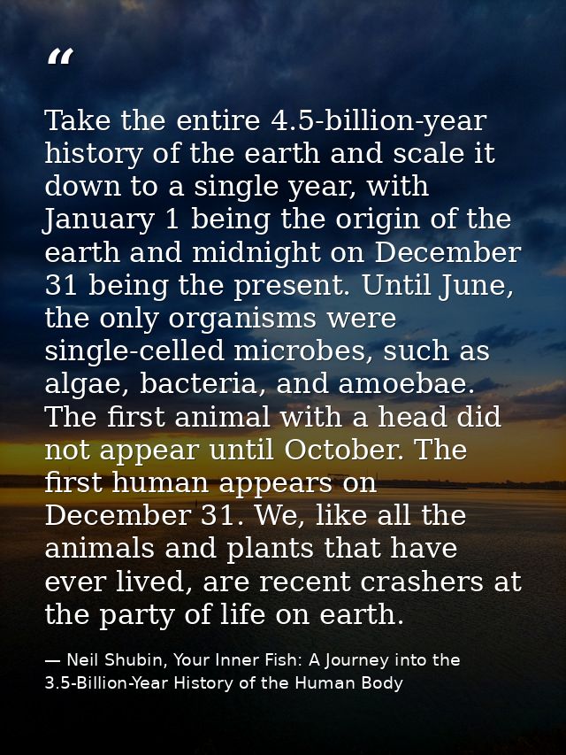 Take the entire 4.5-billion-year history of the earth and scale it down to a single year, with January 1 being the origi — Neil Shubin, Your Inner Fish: A Journey into the 3.5-Billion-Year History of the Human Body