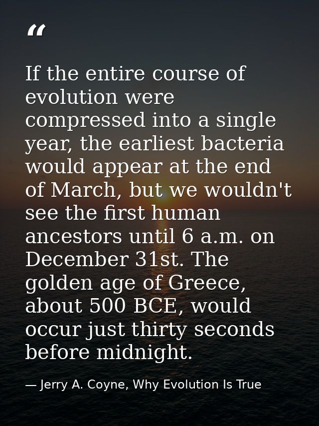If the entire course of evolution were compressed into a single year, the earliest bacteria would appear at the end of M — Jerry A. Coyne, Why Evolution Is True