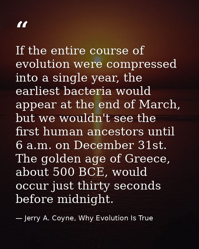 If the entire course of evolution were compressed into a single year, the earliest bacteria would appear at the end of M — Jerry A. Coyne, Why Evolution Is True
