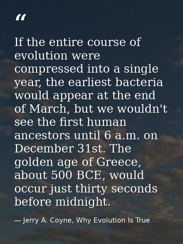 If the entire course of evolution were compressed into a single year, the earliest bacteria would appear at the end of M — Jerry A. Coyne, Why Evolution Is True
