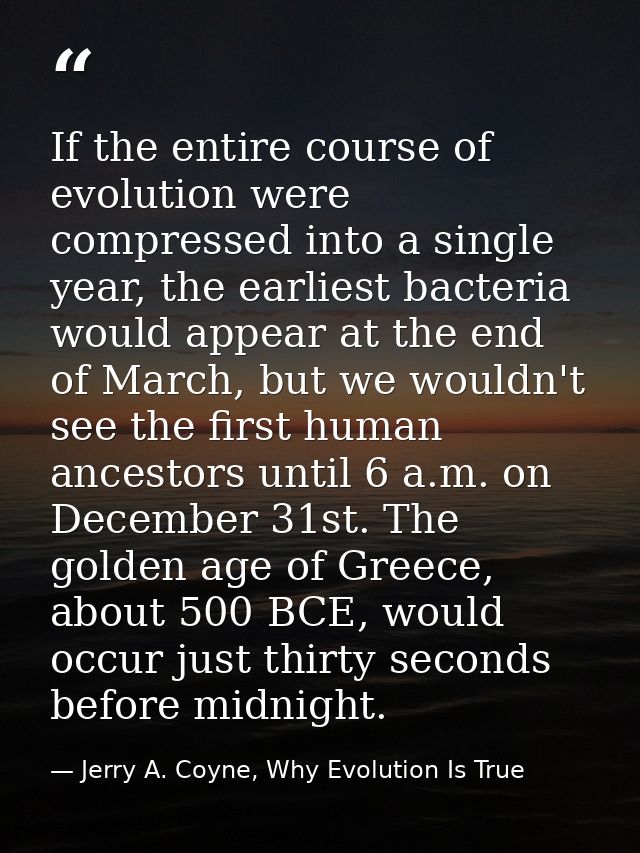 If the entire course of evolution were compressed into a single year, the earliest bacteria would appear at the end of M — Jerry A. Coyne, Why Evolution Is True