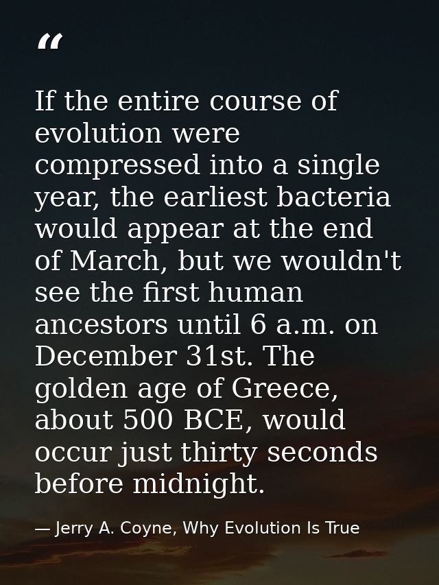 If the entire course of evolution were compressed into a single year, the earliest bacteria would appear at the end of M — Jerry A. Coyne, Why Evolution Is True