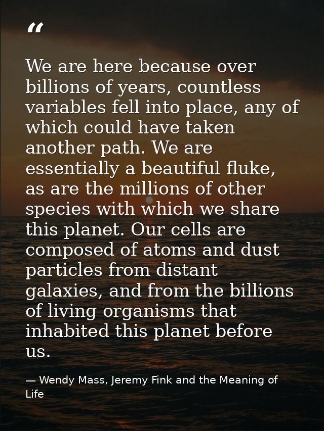 We are here because over billions of years, countless variables fell into place, any of which could have taken another p — Wendy Mass, Jeremy Fink and the Meaning of Life