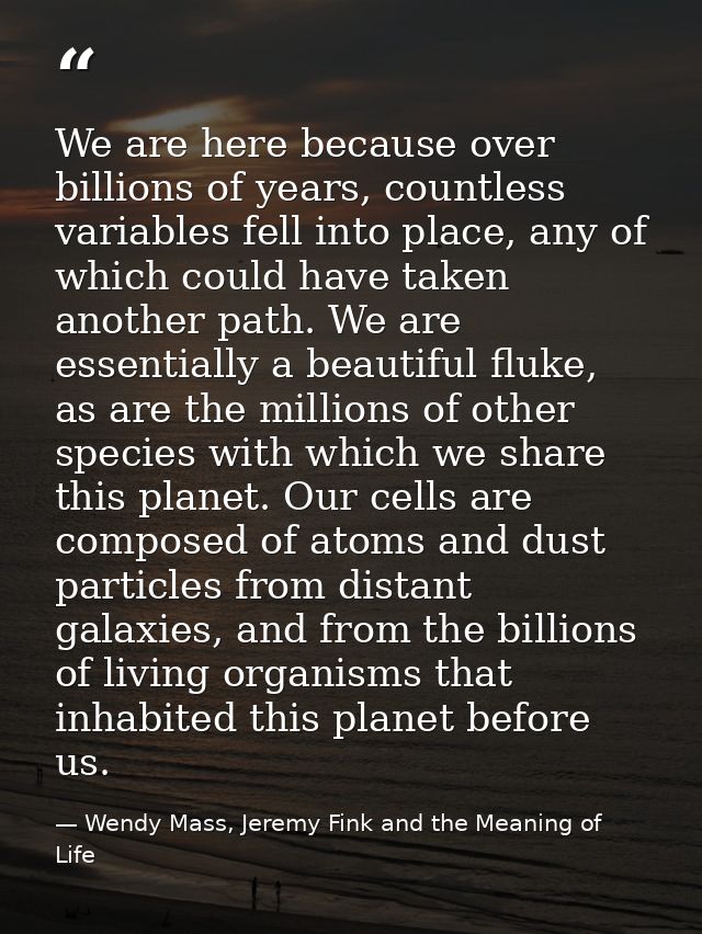 We are here because over billions of years, countless variables fell into place, any of which could have taken another p — Wendy Mass, Jeremy Fink and the Meaning of Life