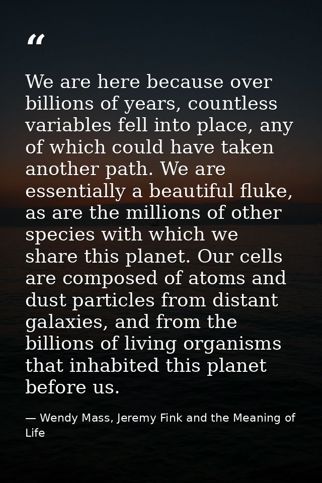 We are here because over billions of years, countless variables fell into place, any of which could have taken another p — Wendy Mass, Jeremy Fink and the Meaning of Life