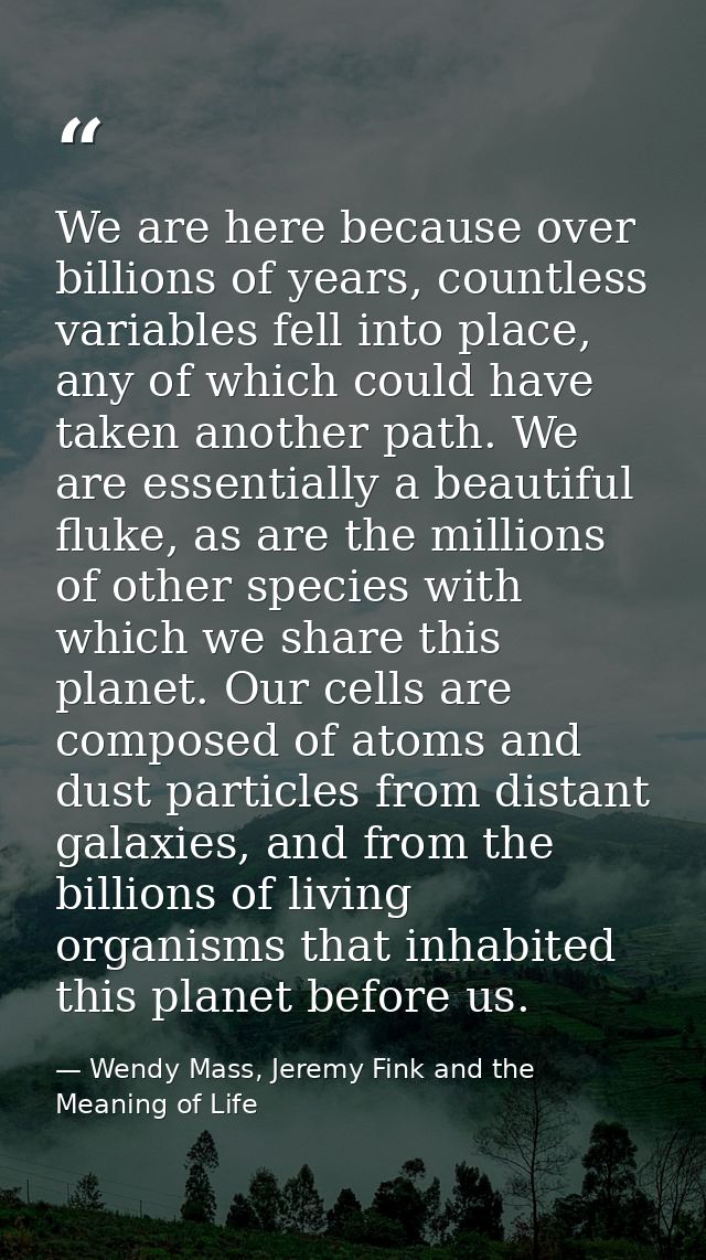 We are here because over billions of years, countless variables fell into place, any of which could have taken another p — Wendy Mass, Jeremy Fink and the Meaning of Life