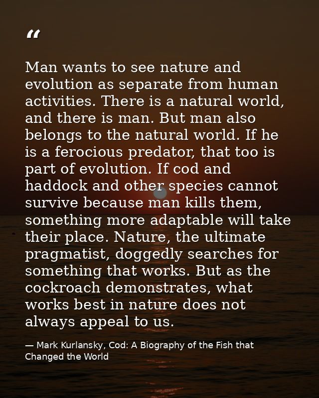 Man wants to see nature and evolution as separate from human activities. There is a natural world, and there is man. But — Mark Kurlansky, Cod: A Biography of the Fish that Changed the World