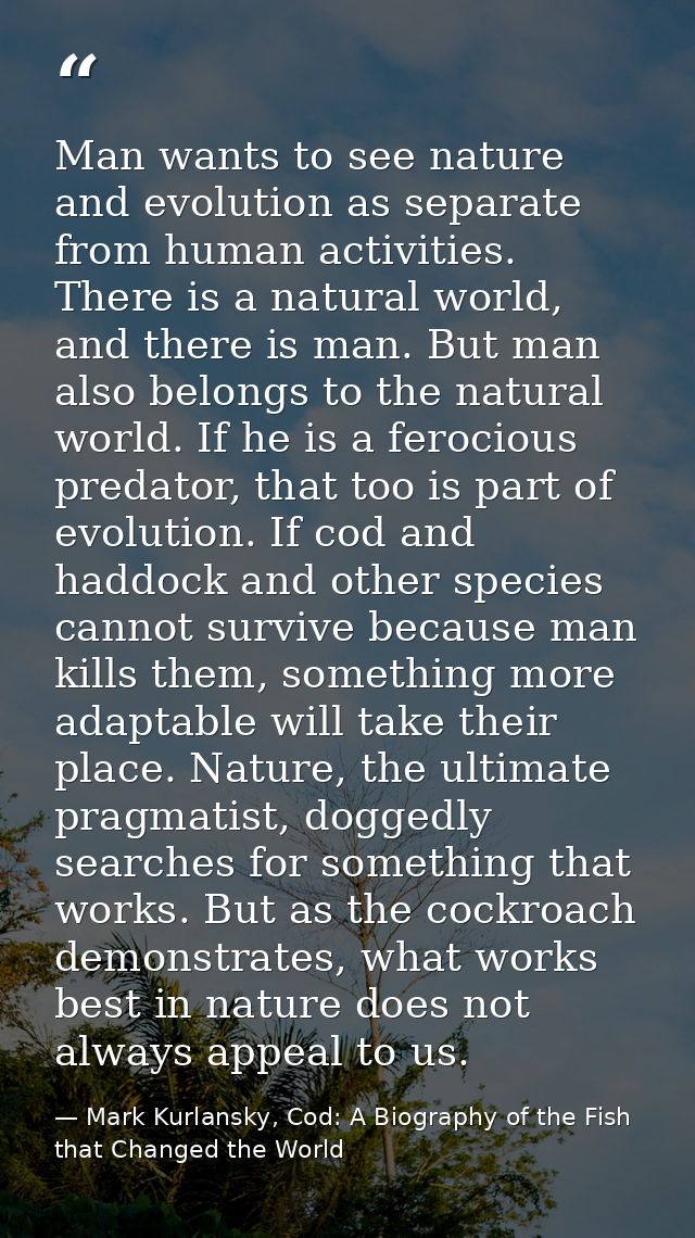 Man wants to see nature and evolution as separate from human activities. There is a natural world, and there is man. But — Mark Kurlansky, Cod: A Biography of the Fish that Changed the World
