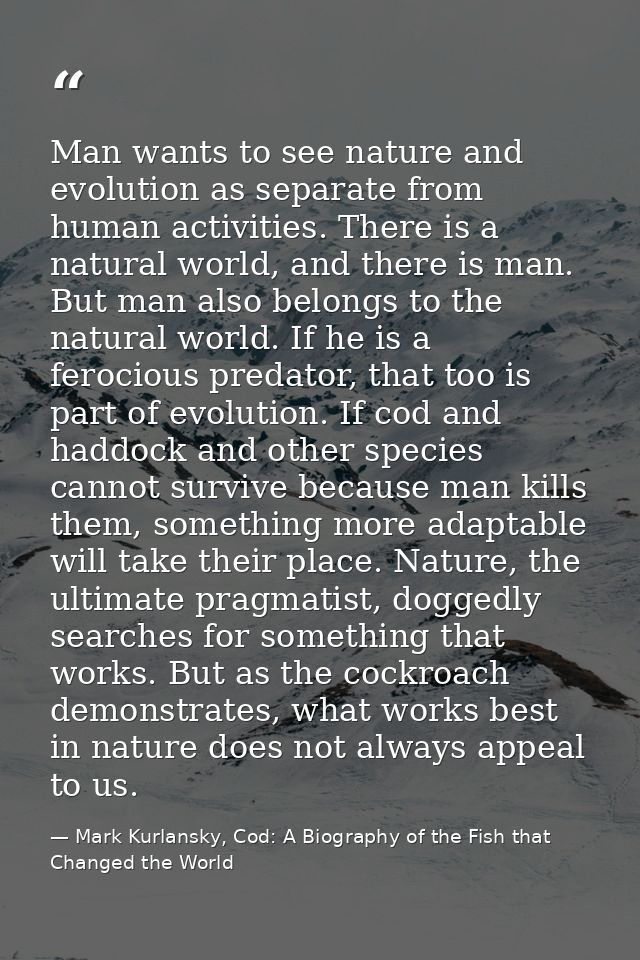 Man wants to see nature and evolution as separate from human activities. There is a natural world, and there is man. But — Mark Kurlansky, Cod: A Biography of the Fish that Changed the World