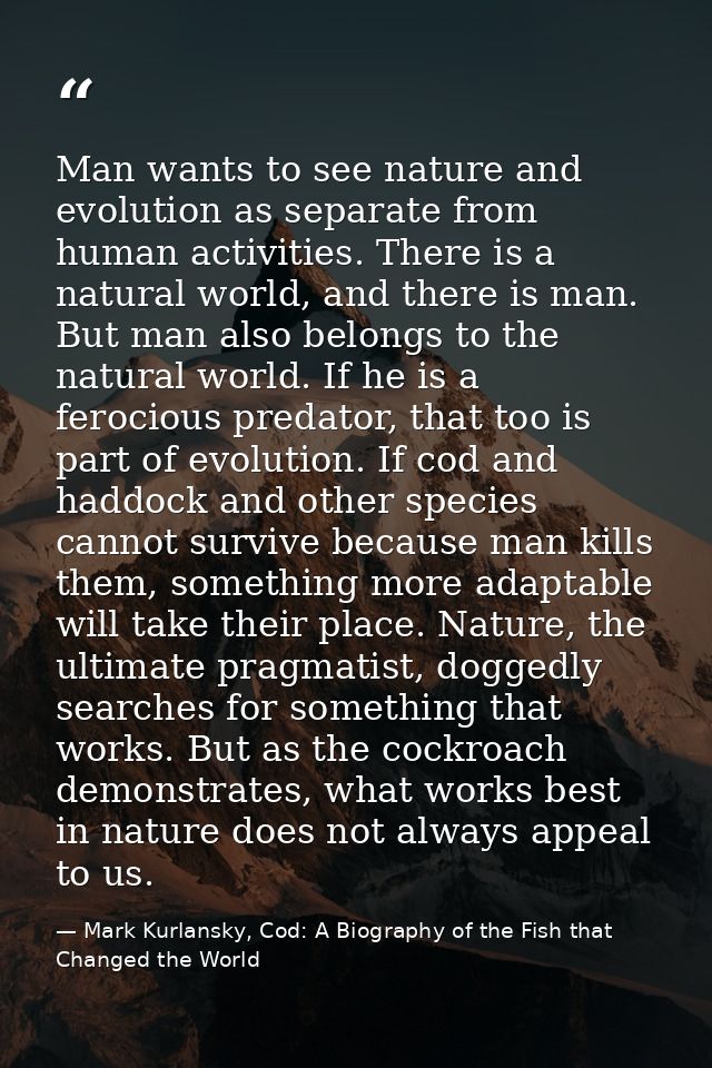Man wants to see nature and evolution as separate from human activities. There is a natural world, and there is man. But — Mark Kurlansky, Cod: A Biography of the Fish that Changed the World