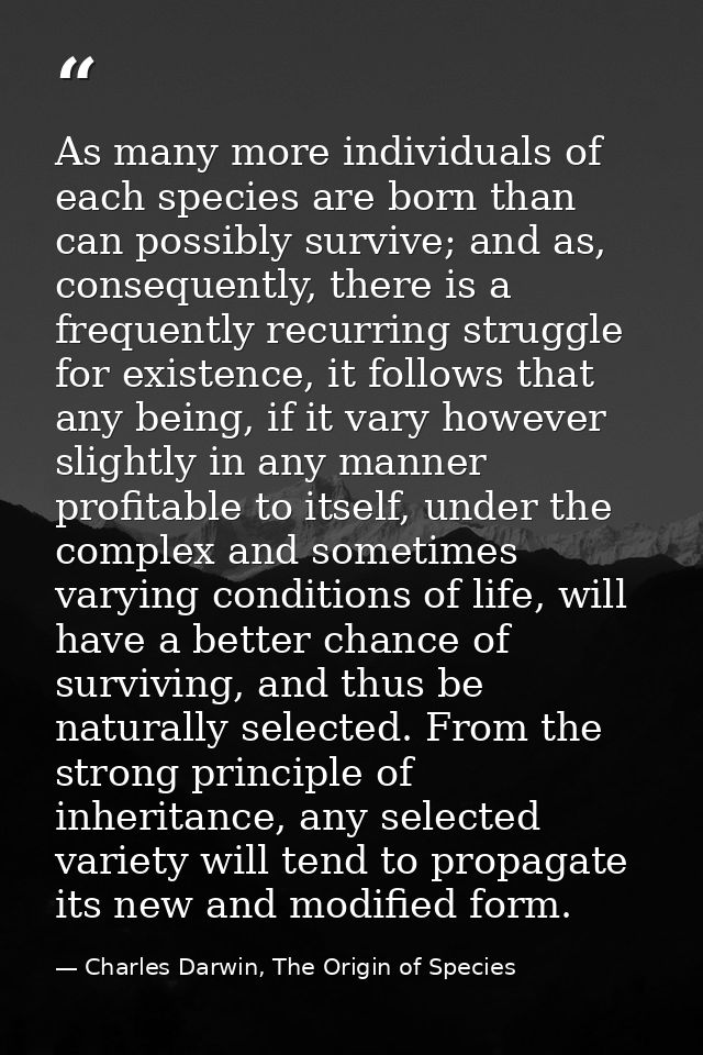 As many more individuals of each species are born than can possibly survive; and as, consequently, there is a frequently — Charles Darwin, The Origin of Species