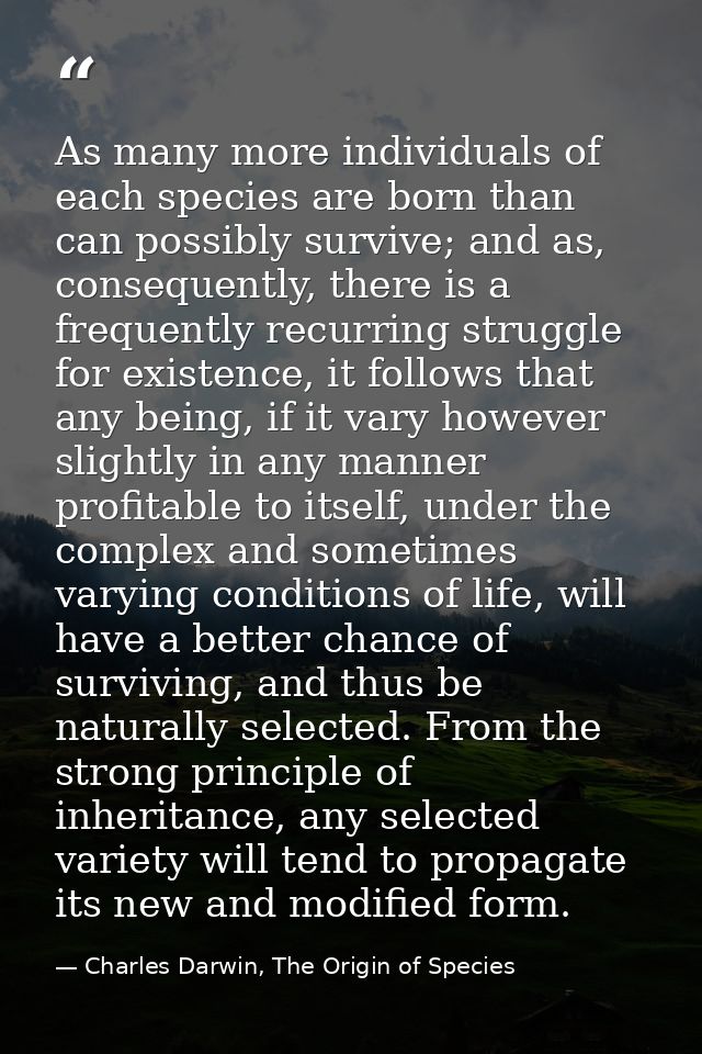 As many more individuals of each species are born than can possibly survive; and as, consequently, there is a frequently — Charles Darwin, The Origin of Species
