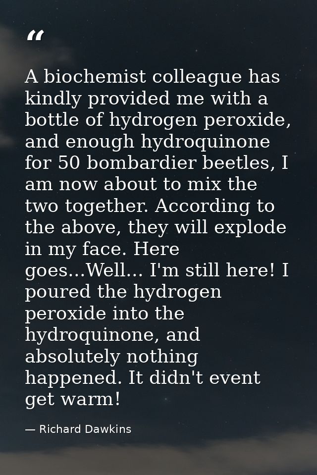 A biochemist colleague has kindly provided me with a bottle of hydrogen peroxide, and enough hydroquinone for 50 bombard — Richard Dawkins