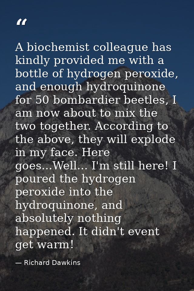 A biochemist colleague has kindly provided me with a bottle of hydrogen peroxide, and enough hydroquinone for 50 bombard — Richard Dawkins