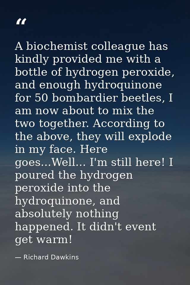 A biochemist colleague has kindly provided me with a bottle of hydrogen peroxide, and enough hydroquinone for 50 bombard — Richard Dawkins