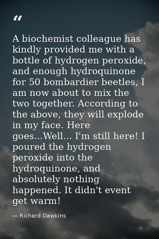 A biochemist colleague has kindly provided me with a bottle of hydrogen peroxide, and enough hydroquinone for 50 bombard — Richard Dawkins