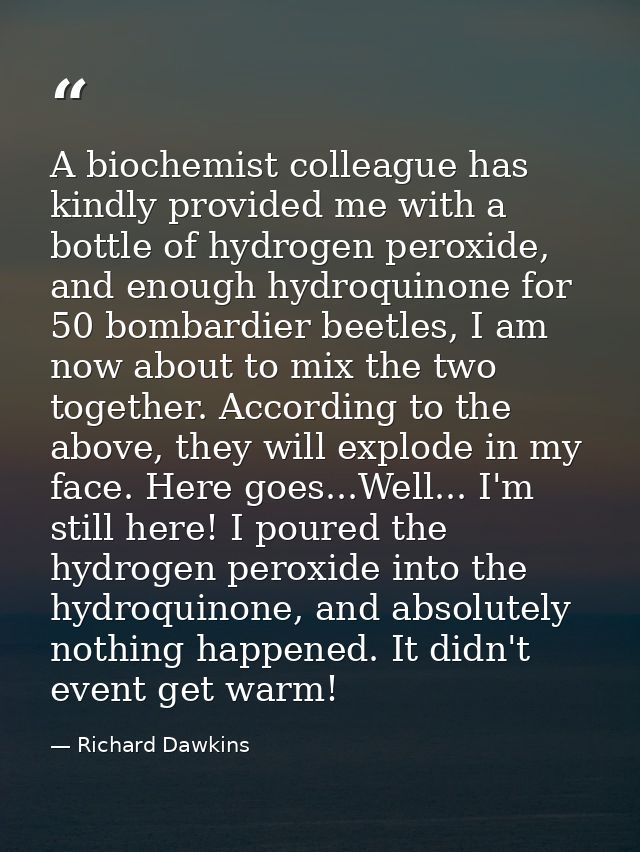 A biochemist colleague has kindly provided me with a bottle of hydrogen peroxide, and enough hydroquinone for 50 bombard — Richard Dawkins
