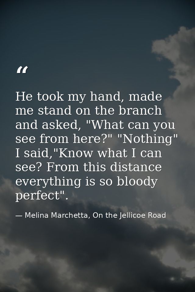 He took my hand, made me stand on the branch and asked, "What can you see from here?" "Nothing" I said,"Know what I can  — Melina Marchetta, On the Jellicoe Road