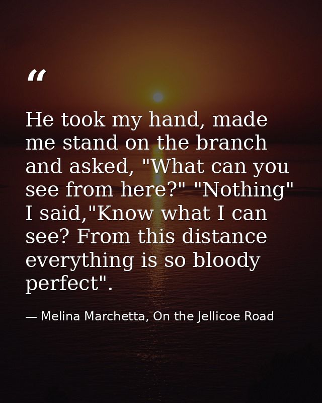 He took my hand, made me stand on the branch and asked, "What can you see from here?" "Nothing" I said,"Know what I can  — Melina Marchetta, On the Jellicoe Road